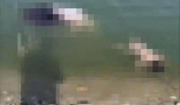 保定徐水爆料事件最新,真相与争议交织的社区风云